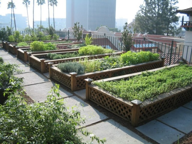 Urban gardening
